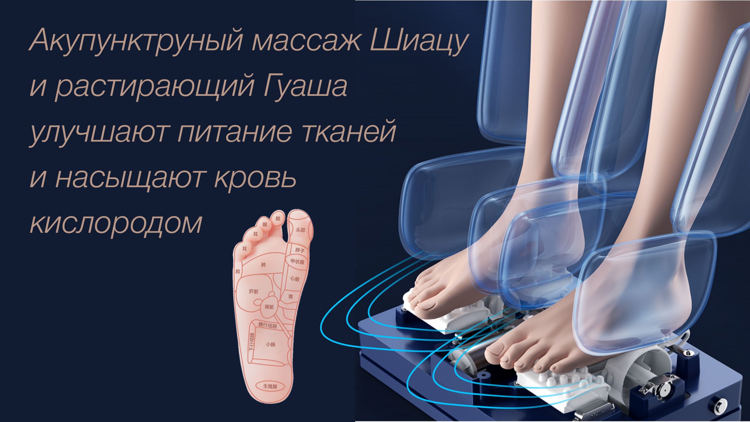 ИК-прогрев, массаж <span>Шиацу и Гуаша</span> стоп
