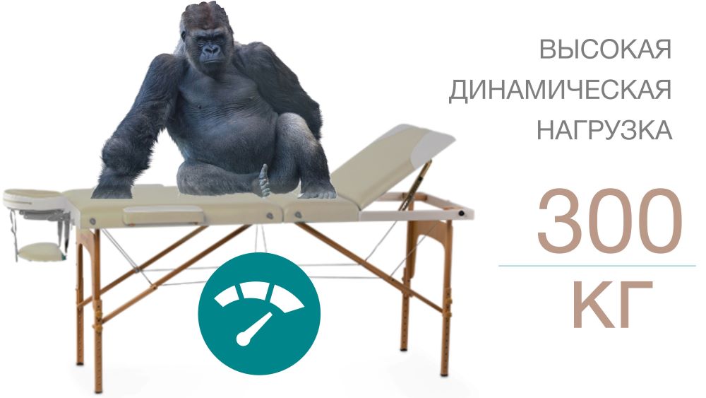 <span>Прочная конструкция</span> (максимальная нагрузка 300 кг)