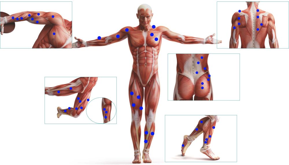 <span>Триггерные</span> точки